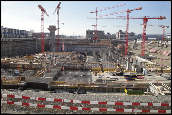 velika slika coop-lobos